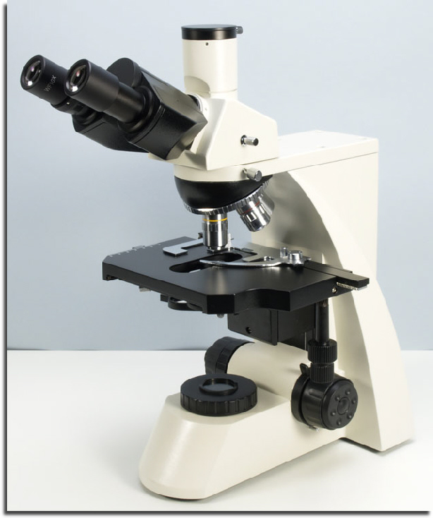 wp06edef54_02.jpg