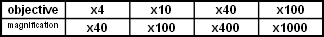 wp0cfee1c3_02.jpg