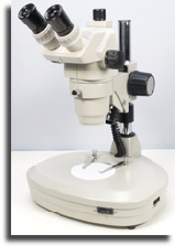 wp11be3961_02.jpg