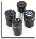 Eyepiece micrometers