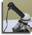 Minicam in a compound microscope
