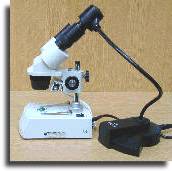 Attached to a low power stereomicroscope