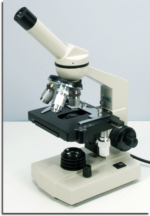 wp257d65ae_02.jpg