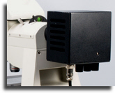 wp258e86ab_02.jpg