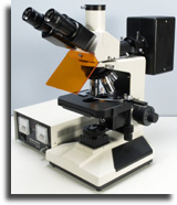 wp265cf2ba_02.jpg