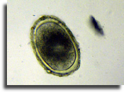 wp281ee542_02.jpg
