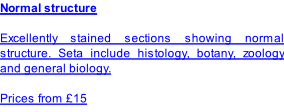 Normal structure  Excellently stained sections showing normal structure. Seta include histology, botany, zoology and general biology.  Prices from £15                                                                .