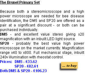 Buy online