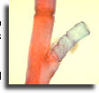 Microscope slide sets