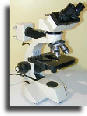 Brunel SP80 metallurgical microscope