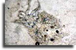 wp46a6eab7_02.jpg