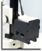 wp4ae681c1_02.jpg