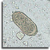 wp5ace3621_02.jpg