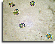 wp5c2b864b_02.jpg