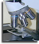 ml5000c.jpg