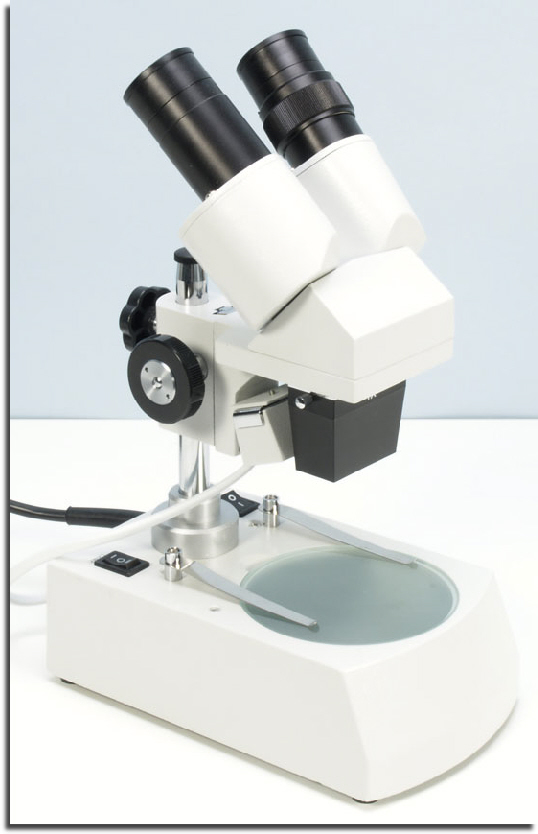 wp678588cf_02.jpg
