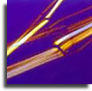 wp6989a1a2_02.jpg