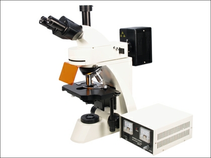 Fluorescence microscope