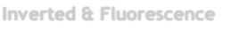 Inverted & Fluorescence