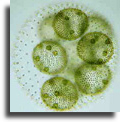 wp6fa54532_02.jpg