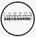 Micrometer scales