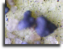 wp7785e999_02.jpg