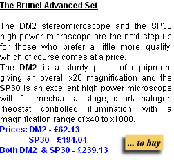 Buy online