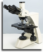 SP200 trinocular microscope