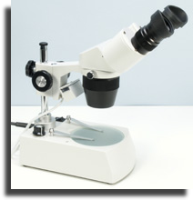 Stereomicroscope