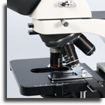 Infinity objectives