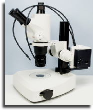 wp877ec69b_02.jpg
