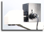 Transmitted light source