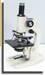 Monocular microscope