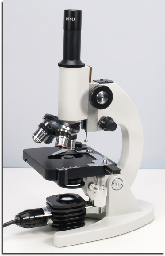 wp996c6bf5_02.jpg
