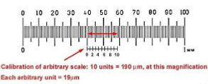 Mic-UK: Microscope measuring