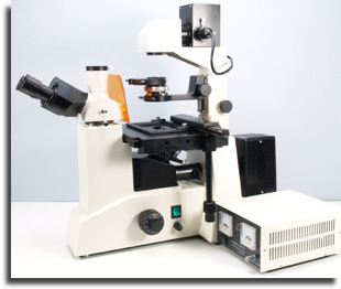 Inverted fluorescence microscope
