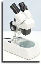wpba84f29a_02.jpg