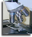 Inverted objective nosepiece