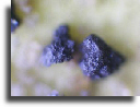 wpcbf3e25d_02.jpg