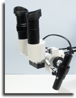 wpd5efe120_02.jpg