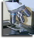 Inverted objective nosepiece