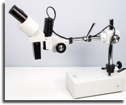 wpdcbe94d2_02.jpg