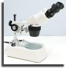 Stereomicroscope