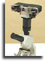 Photomicrography
