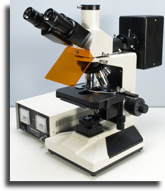 wpe81801fc_02.jpg
