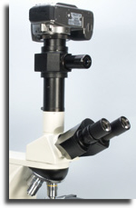 Photomicrography