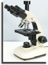 Trinocular microscope