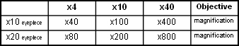 wpec14be55_02.jpg