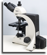 Quintuple nosepiece