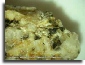 Fragment of rock Fragment of rock